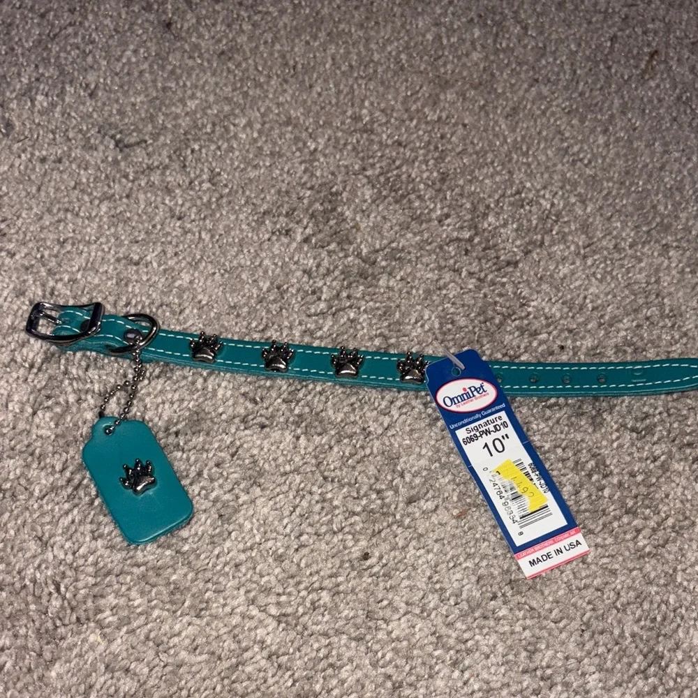 New Omni Pet Leather Teal Dog Collar with Paw Charm xs/s
